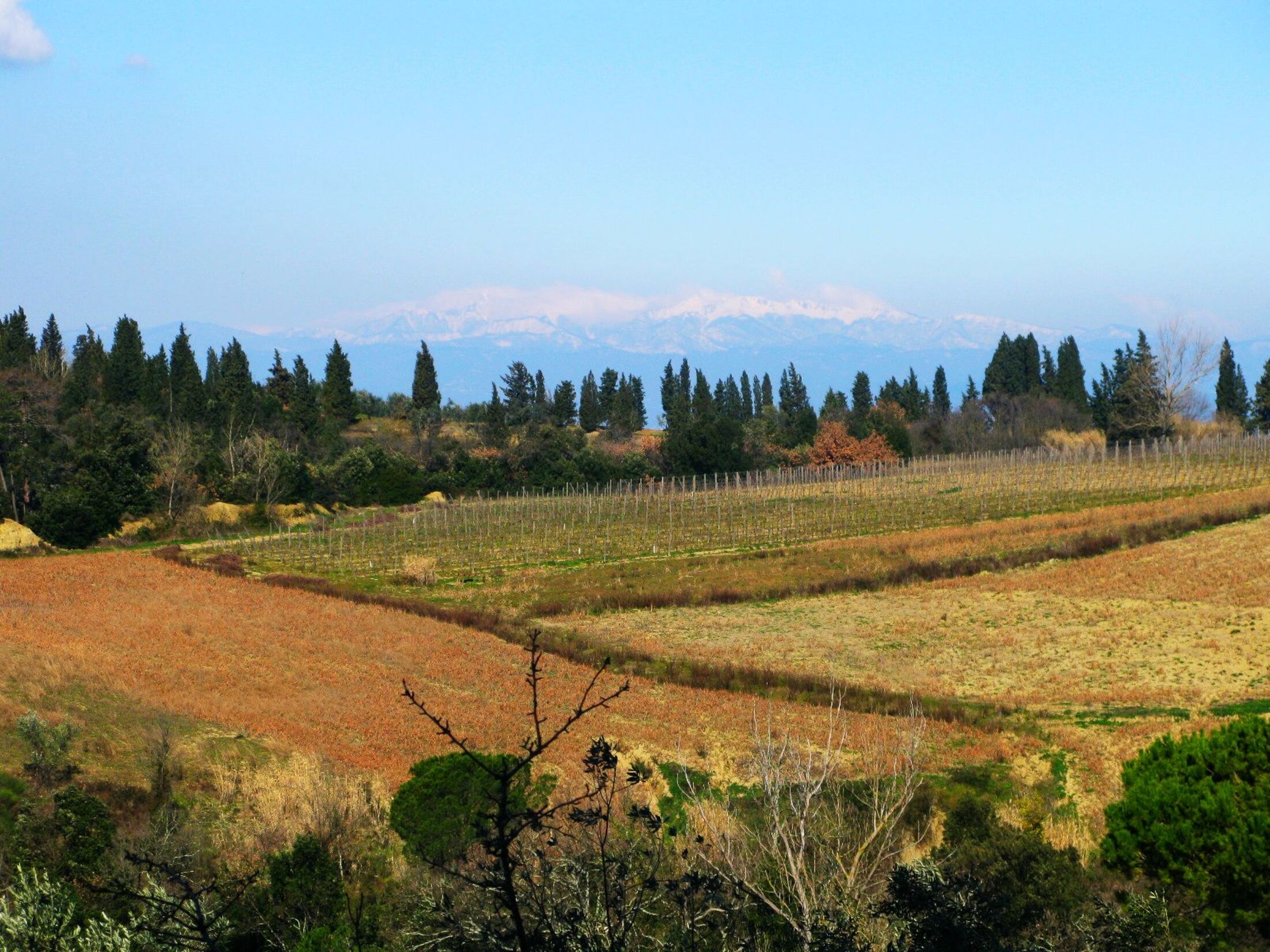 agriturismo martignana alta (10)