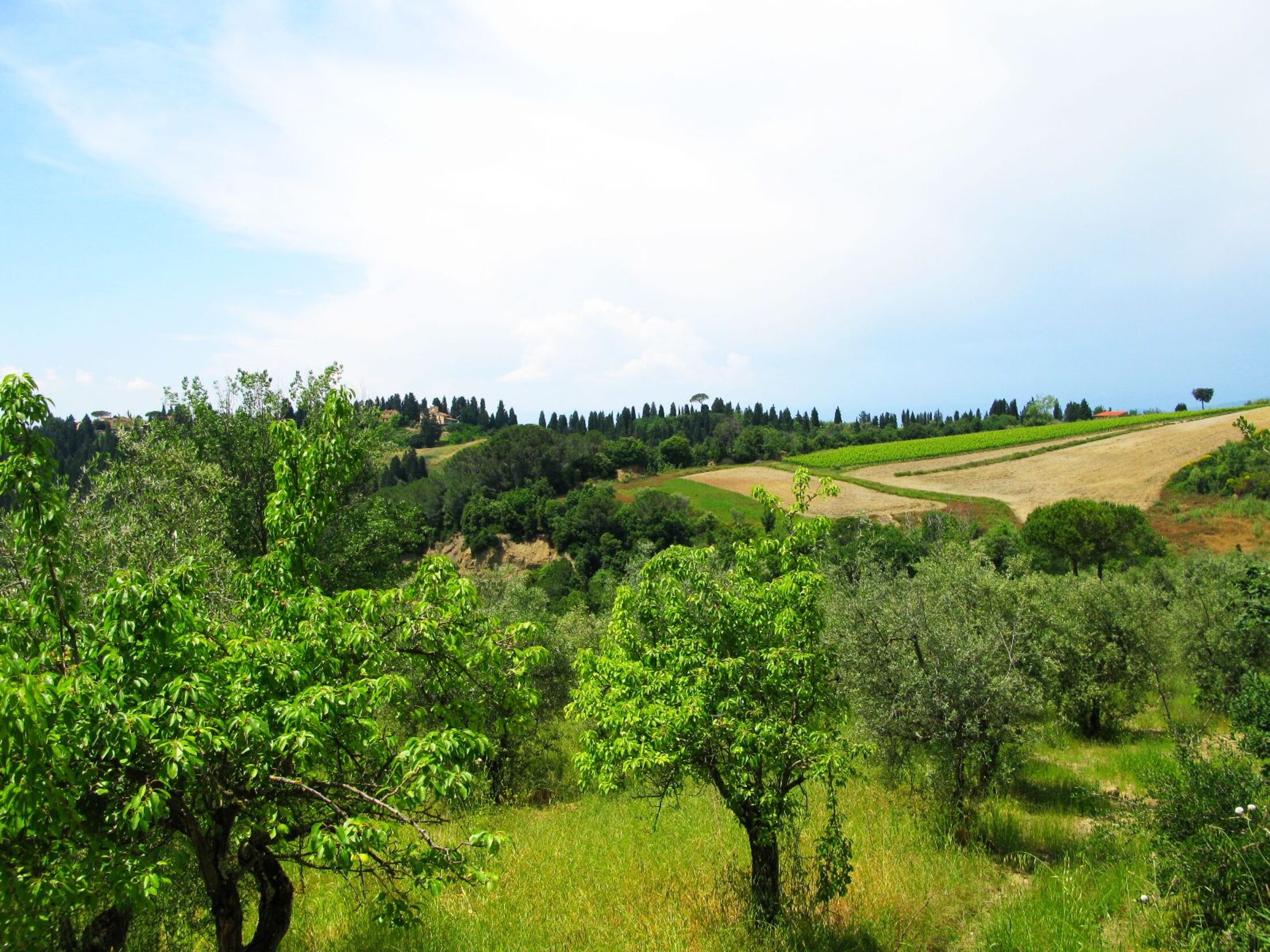 agriturismo martignana alta (9)